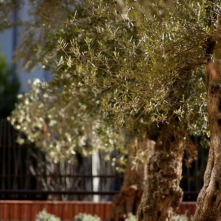 Hotel Renaissance Aix-en-Provence